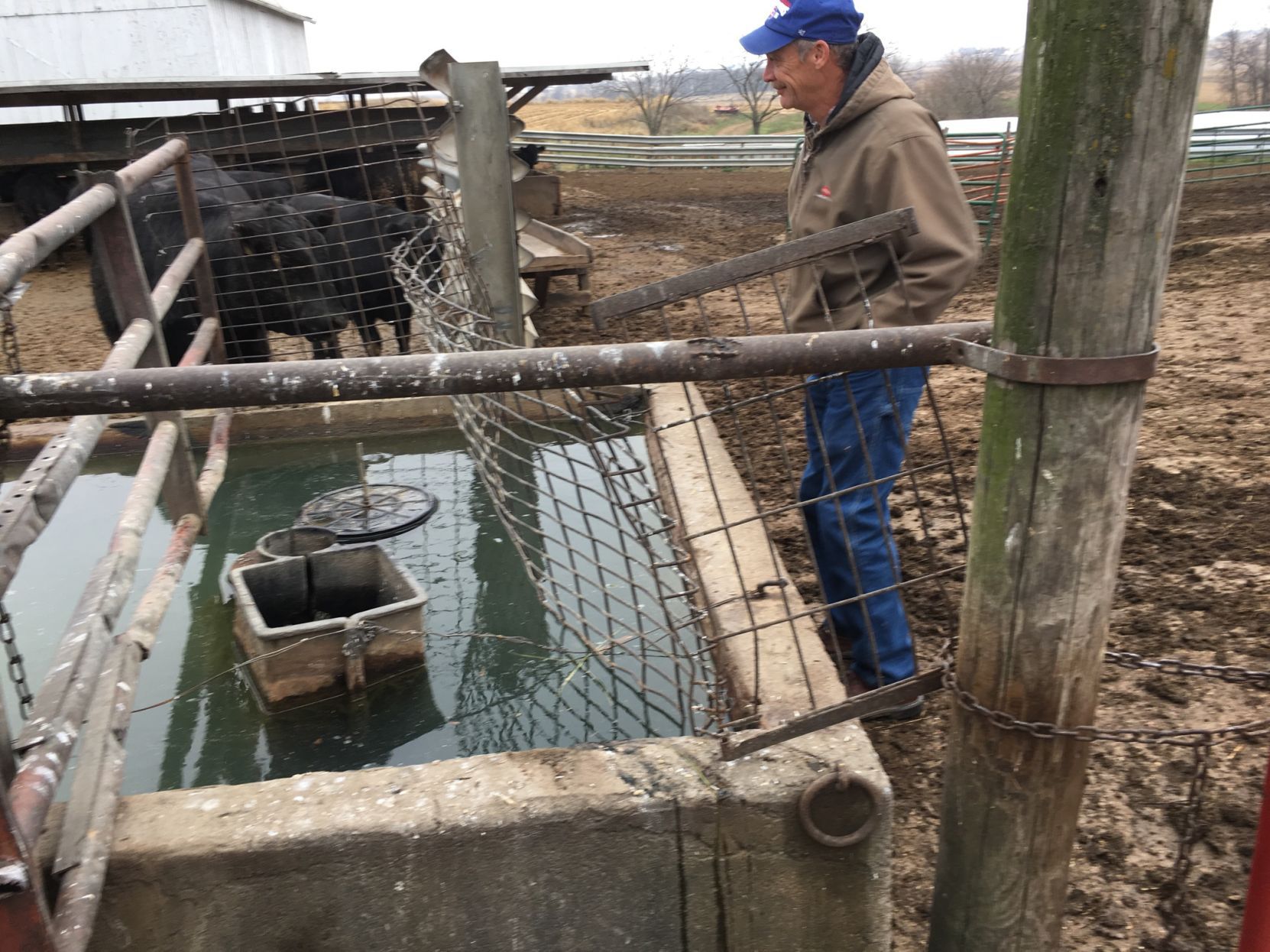cattle waterer
